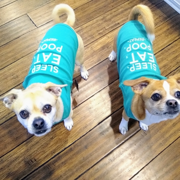 Meet your Posher, Beth - Picture 2 of 13